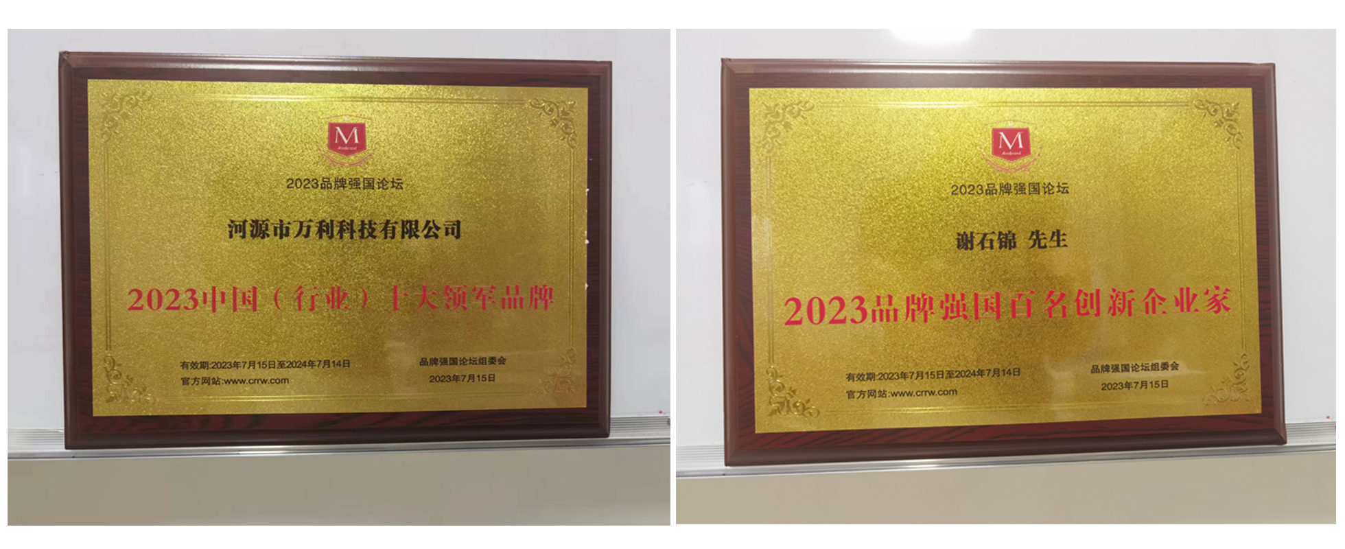 河源市万利科技有限公司荣获2023中国(行业)十大领军品牌大奖！