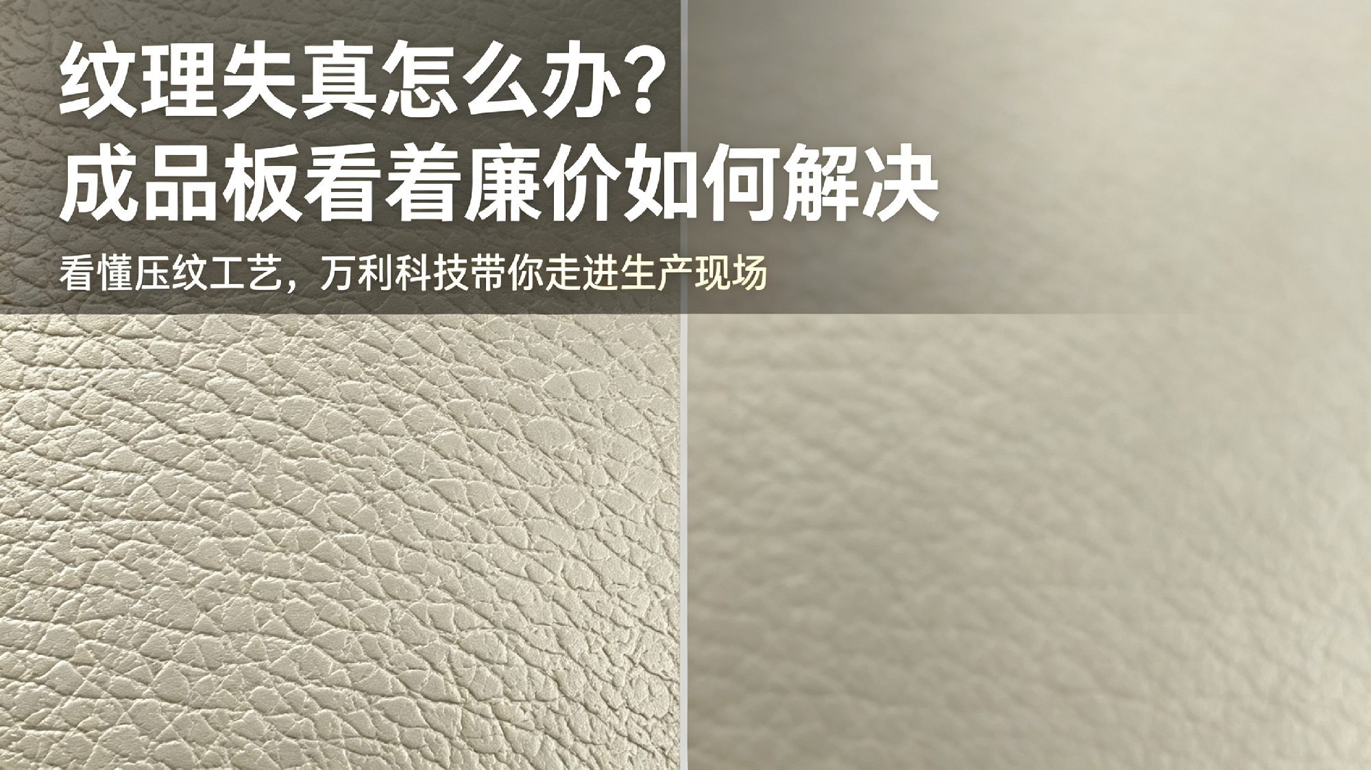 压纹111 (3)